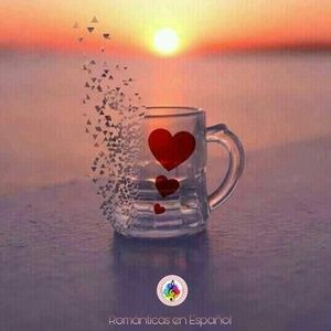 Meet your Posher, Irene